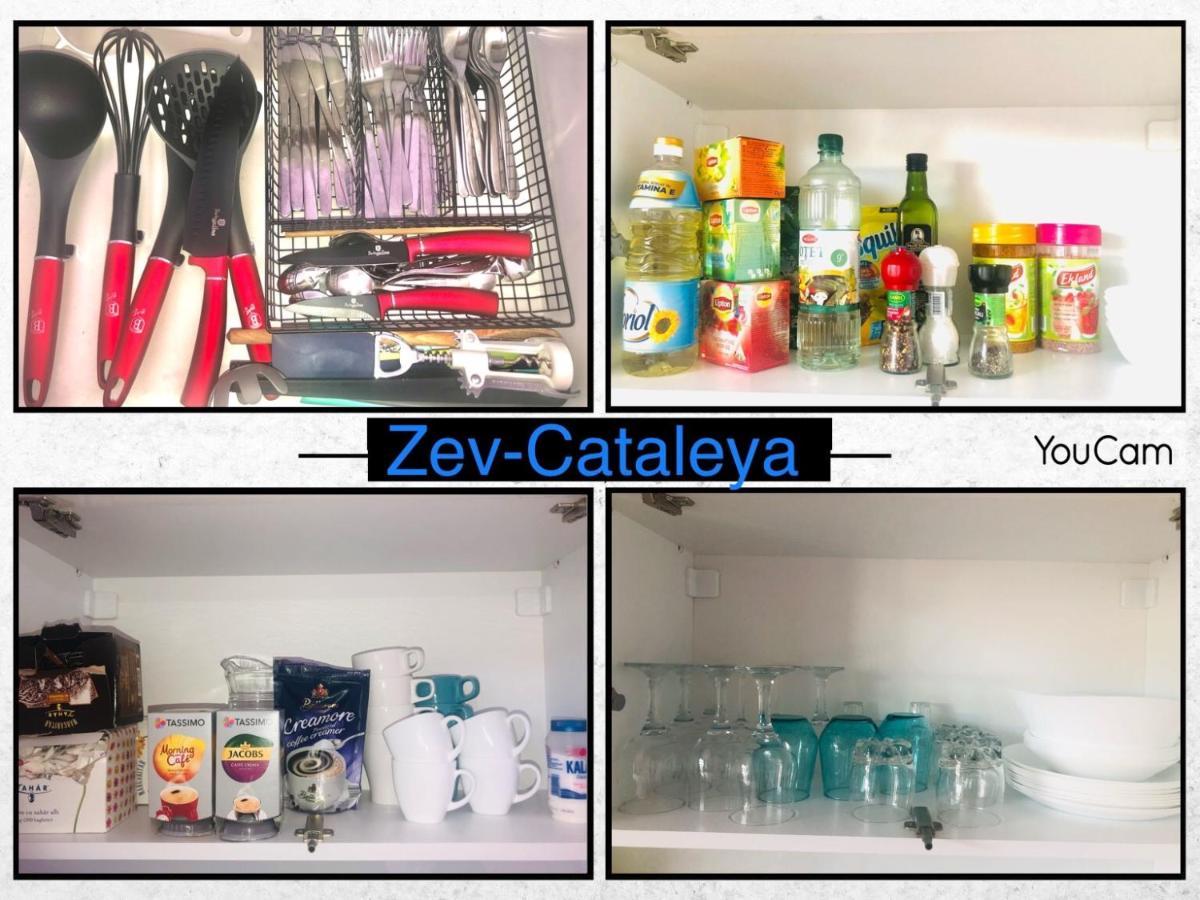 Zev- Cataleya Mamaia Nord Apartment Navodari Exterior photo